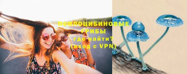 первитин Богданович