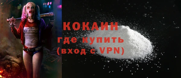 PSILOCYBIN Белокуриха