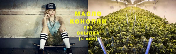 ECSTASY Богородицк