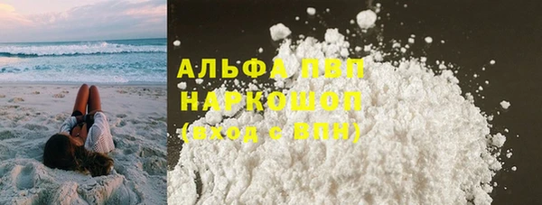 ECSTASY Богородицк