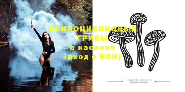 первитин Богданович
