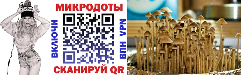 Псилоцибиновые грибы Psilocybine cubensis  где купить наркоту  Великий Устюг 